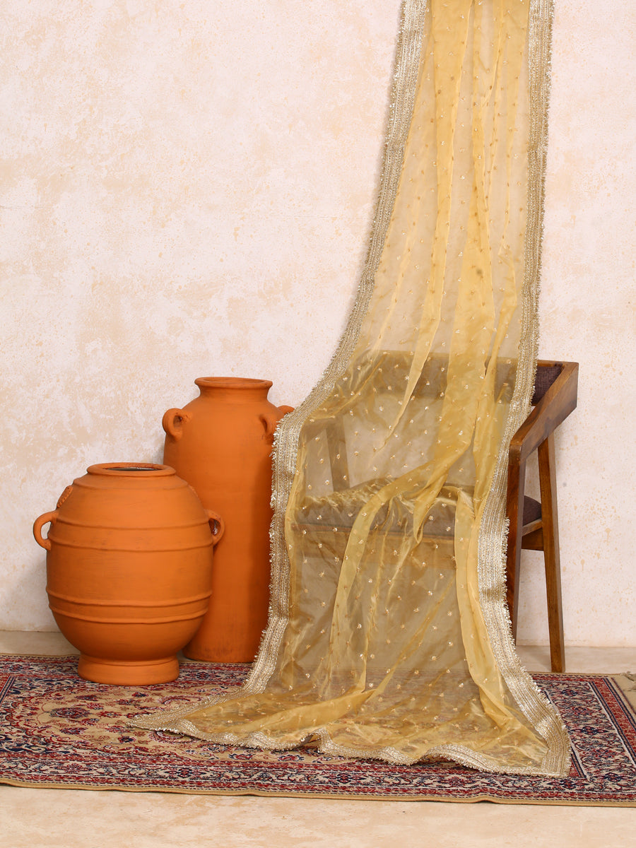 Jashn x Tyohaar Dupatta, in Gold Viscose, made for party & festive (view 5).