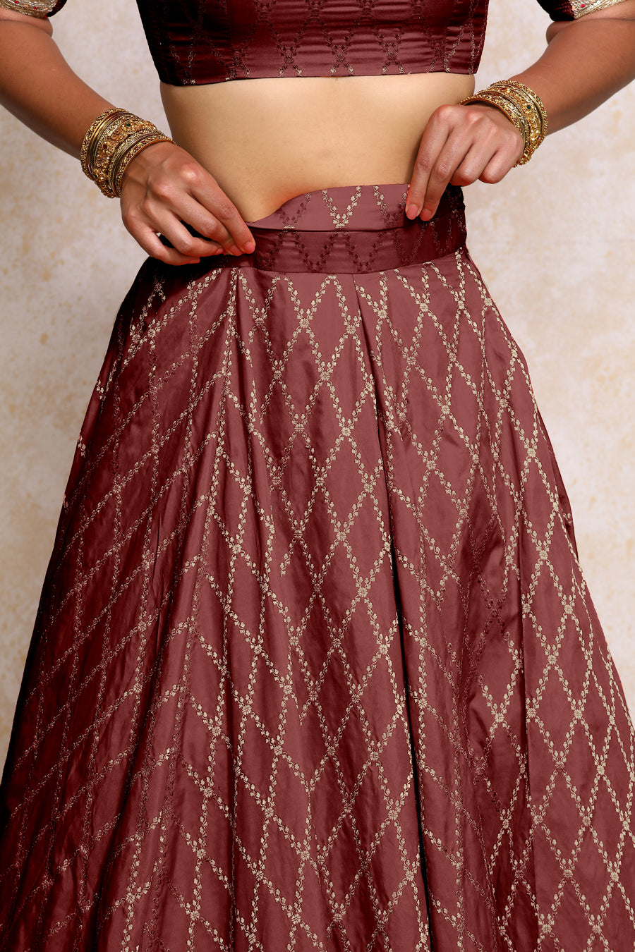 Hoor x Tyohaar Lehenga Set, in Maroon Viscose Silk Brocade, featuring elbow sleeves and jewel neckline (view 5).