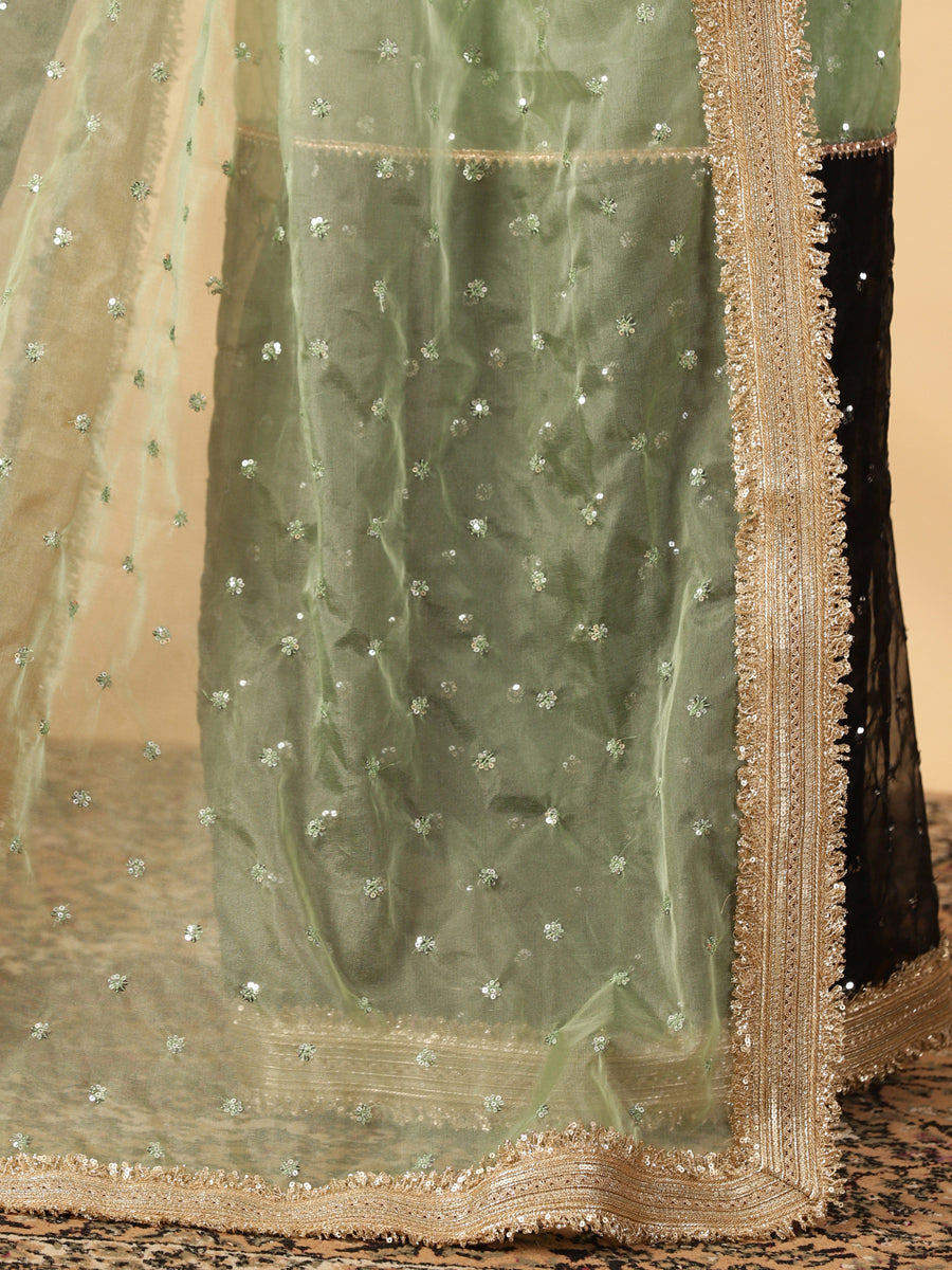 Mint Green & Black Organza Sequin Butta Saree With Designer Embroidered Lace, in Green Sequin Organza (view 5).