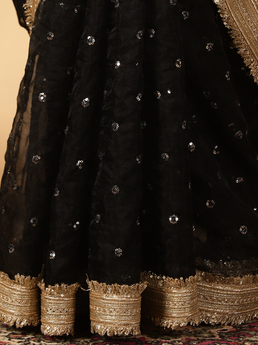 Light Yellow & Black Organza Sequin Butta Saree With Designer Embroidered Lace, in Yellow Sequin Organza (view 4).