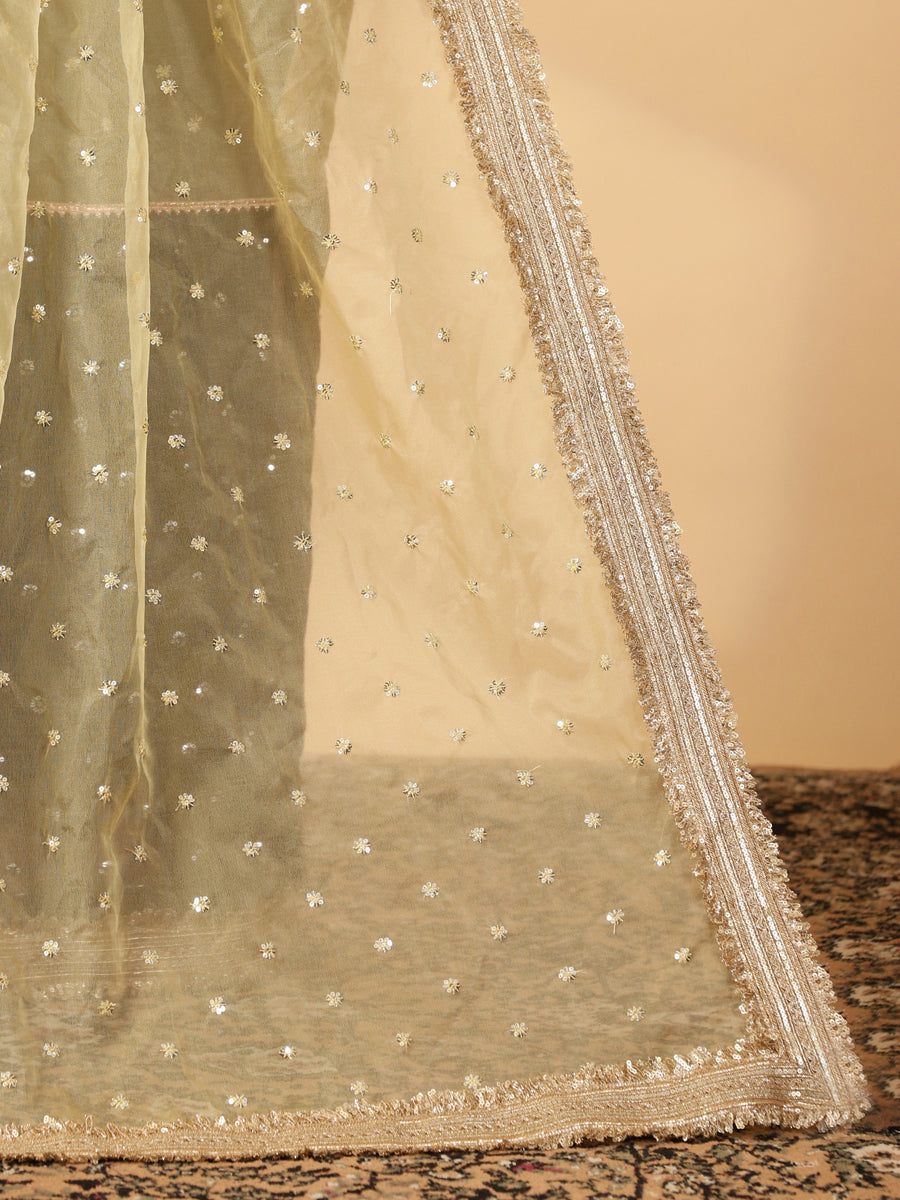 Light Yellow & Black Organza Sequin Butta Saree With Designer Embroidered Lace, in Yellow Sequin Organza (view 5).
