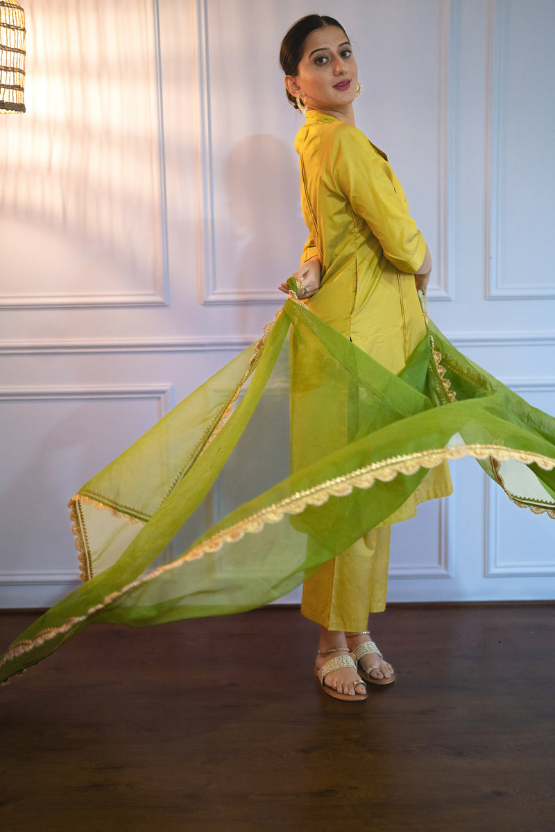 Heena x Tyohaar | Olive Green Organza Dupatta-Binks
