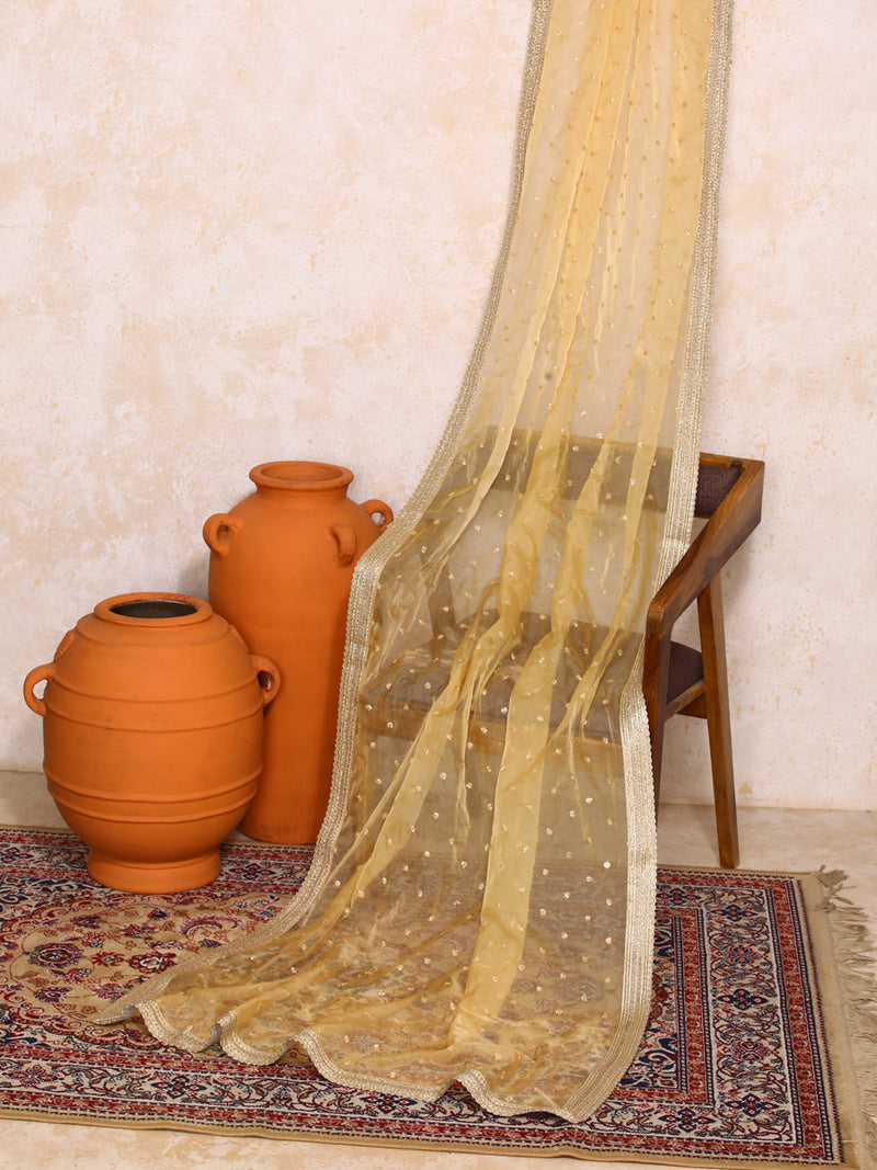 Hemini x Tyohaar | Sequined Gold Organza Dupatta-Binks