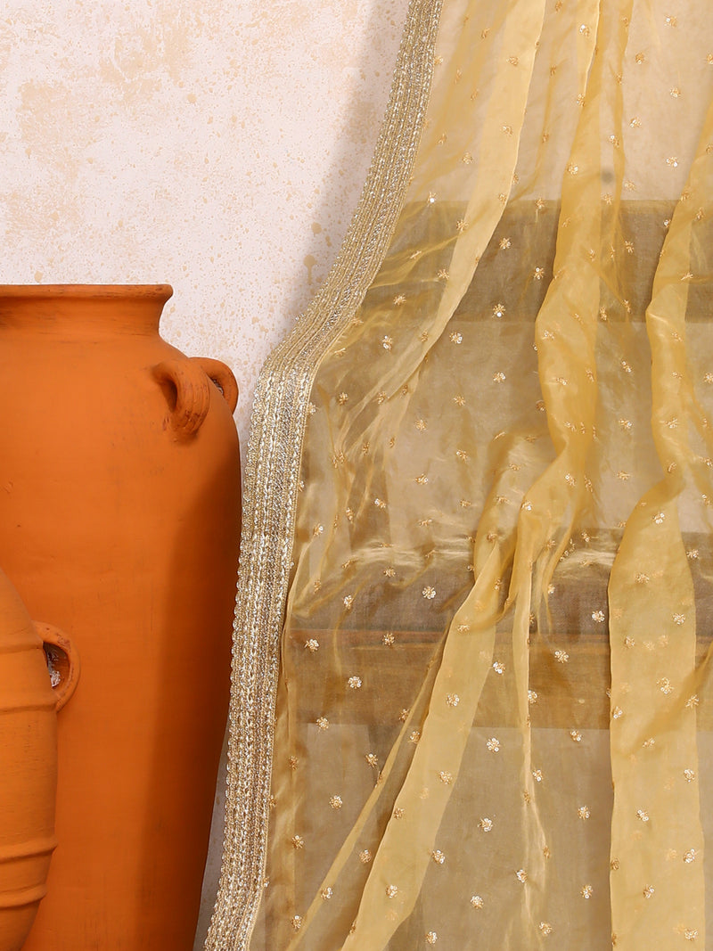 Hemini x Tyohaar | Sequined Gold Organza Dupatta-Binks