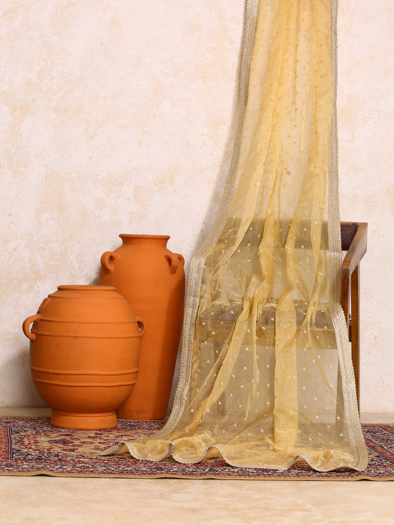 Hemini x Tyohaar | Sequined Gold Organza Dupatta-Binks