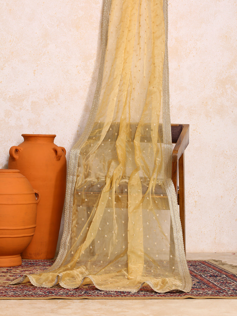Hemini x Tyohaar | Sequined Gold Organza Dupatta-Binks
