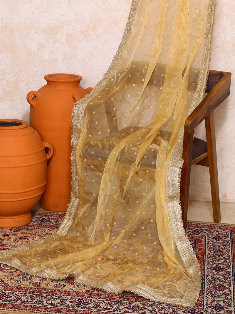 Jashn x Tyohaar | Sequined Gold Organza Dupatta-Binks