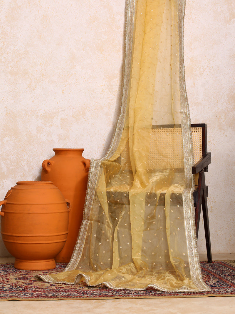 Kanira x Tyohaar | Sequined Gold Organza Dupatta-Binks