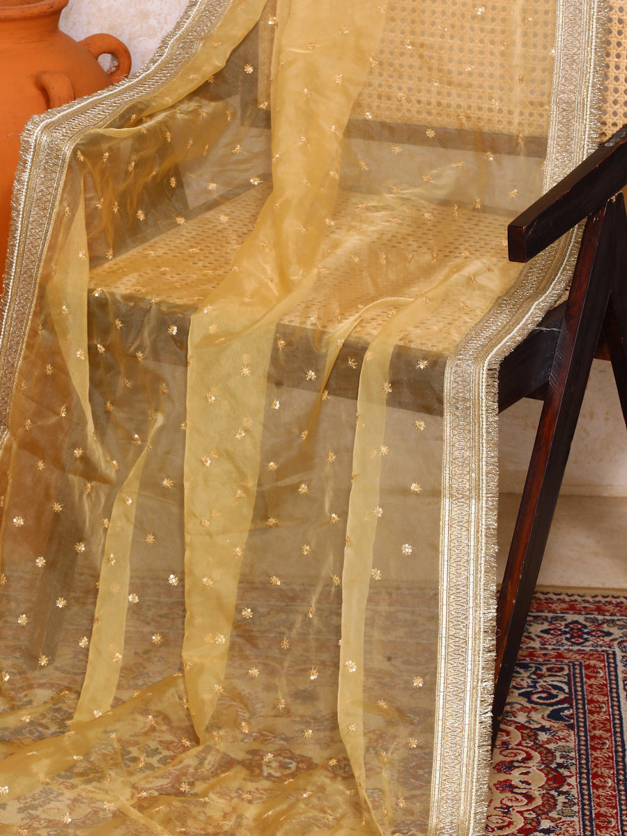 Kanira x Tyohaar Dupatta, in Gold Viscose, made for party & festive (view 2).