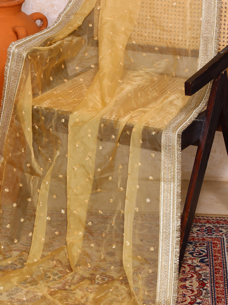 Kanira x Tyohaar | Sequined Gold Organza Dupatta-Binks