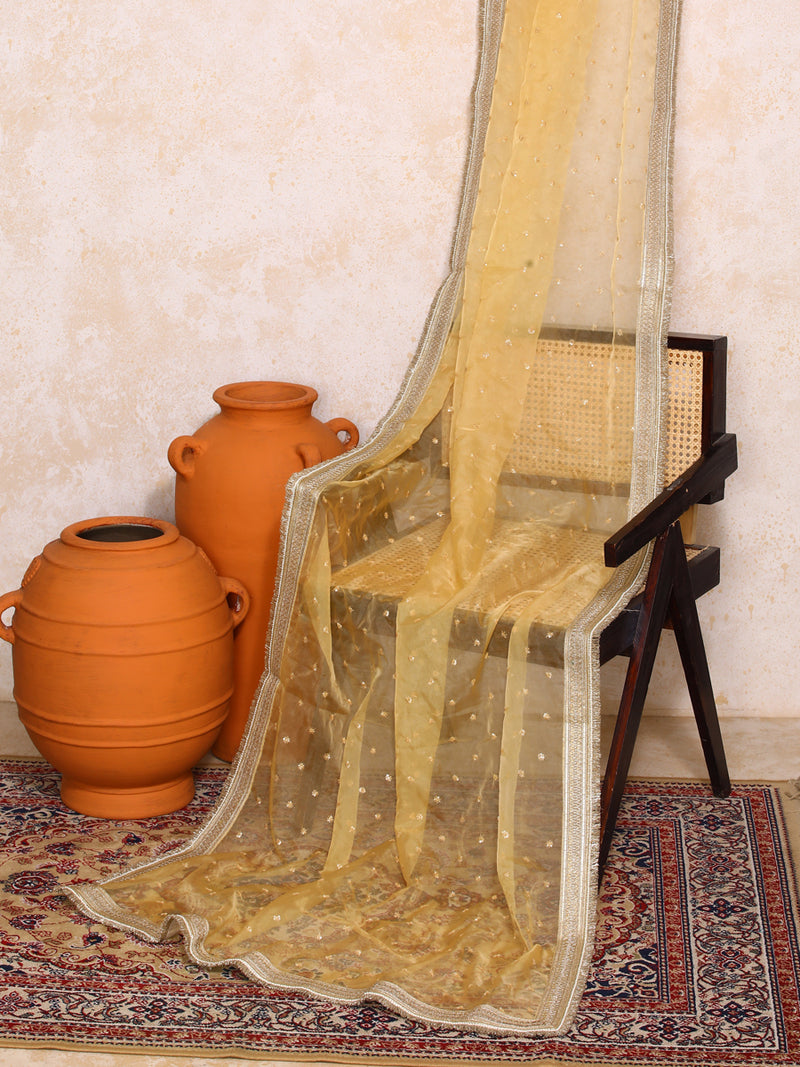 Kanira x Tyohaar | Sequined Gold Organza Dupatta-Binks