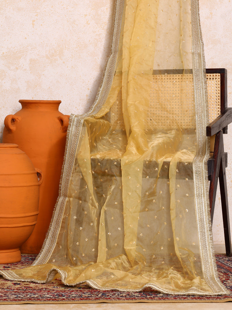 Kanira x Tyohaar | Sequined Gold Organza Dupatta-Binks