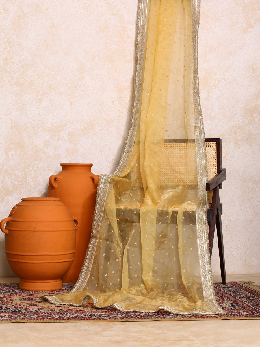 Kanira x Tyohaar Dupatta, in Gold Viscose, made for party & festive (view 5).