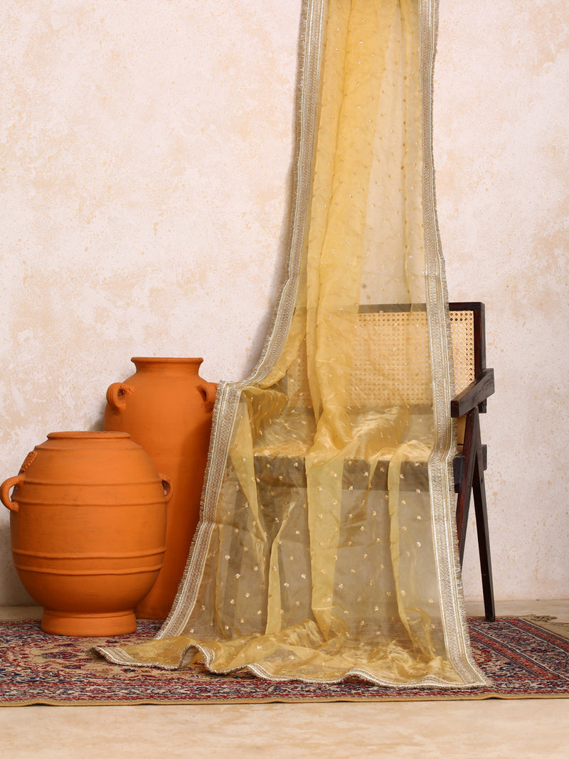Kanira x Tyohaar | Sequined Gold Organza Dupatta-Binks