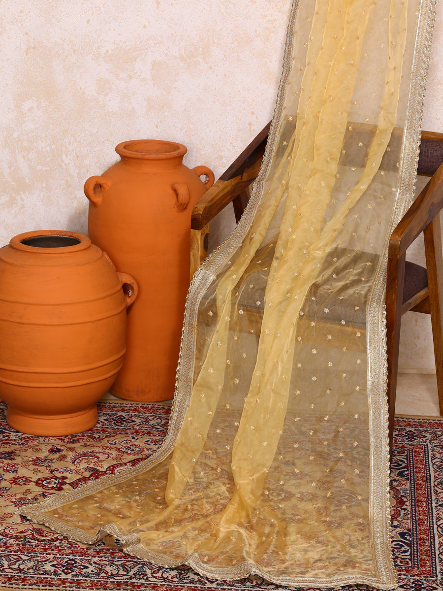 Suvarni x Tyohaar Dupatta, in Gold Viscose, made for party & festive (view 5).