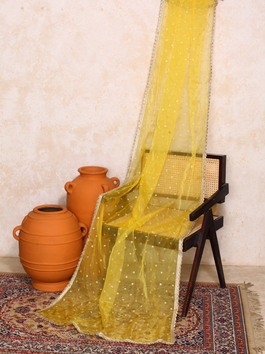 Taapti x Tyohaar Dupatta, in Yellow Viscose, made for party & festive (view 4).