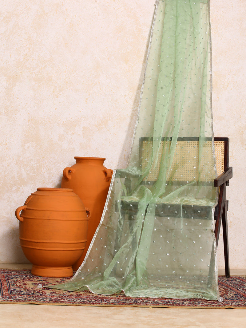 Taruvi x Tyohaar | Sequined Light Green Organza Dupatta-Binks