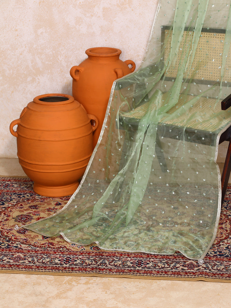 Taruvi x Tyohaar | Sequined Light Green Organza Dupatta-Binks