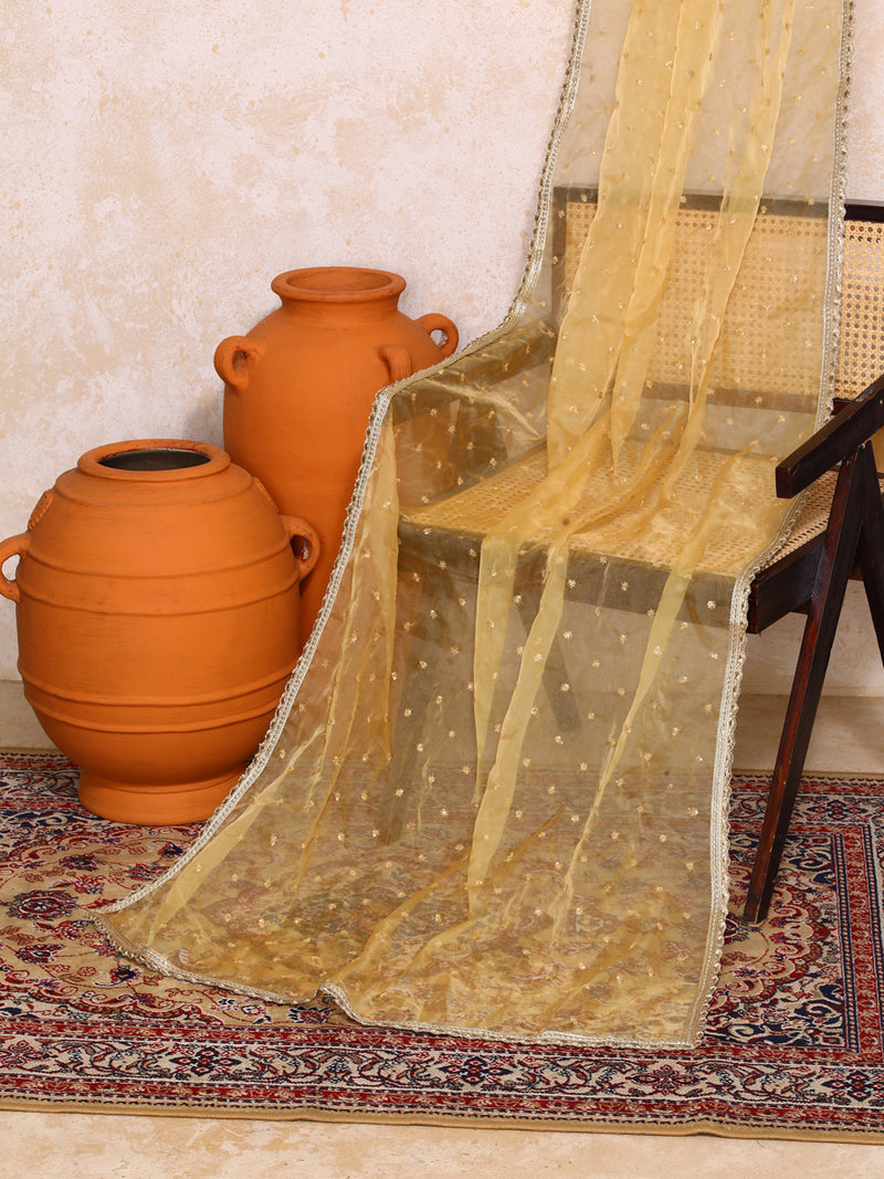 Zareen x Tyohaar | Sequined Gold Organza Dupatta-Binks