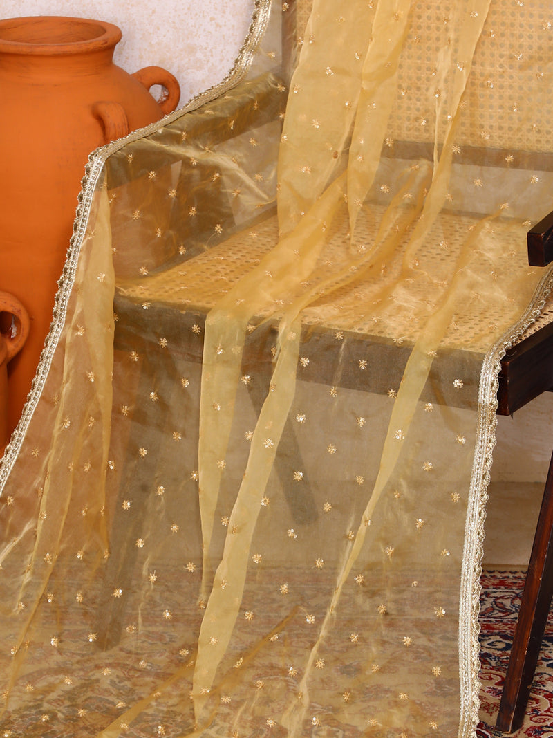 Zareen x Tyohaar | Sequined Gold Organza Dupatta-Binks