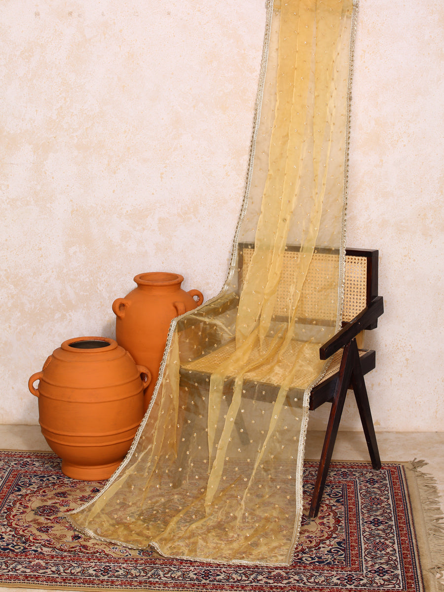 Zareen x Tyohaar Dupatta, in Gold Viscose, made for party & festive (view 3).
