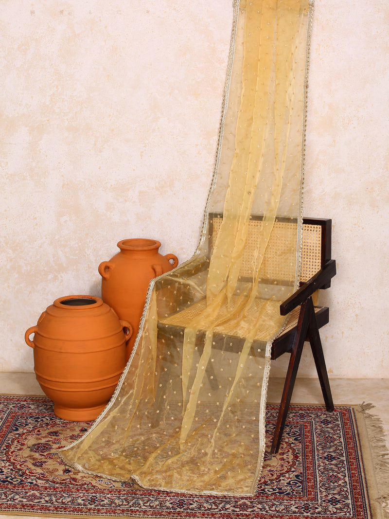 Zareen x Tyohaar | Sequined Gold Organza Dupatta-Binks