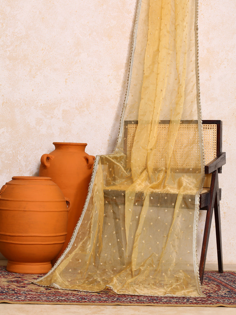Zareen x Tyohaar | Sequined Gold Organza Dupatta-Binks