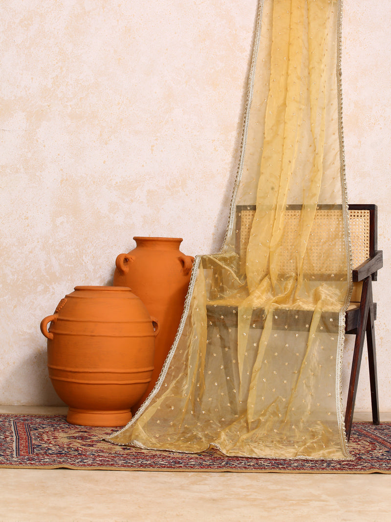 Zareen x Tyohaar | Sequined Gold Organza Dupatta-Binks