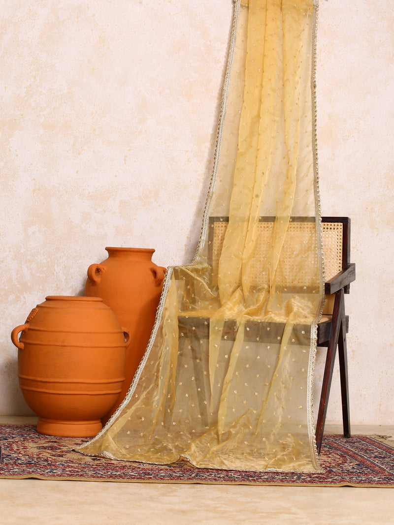 Zareen x Tyohaar | Sequined Gold Organza Dupatta-Binks