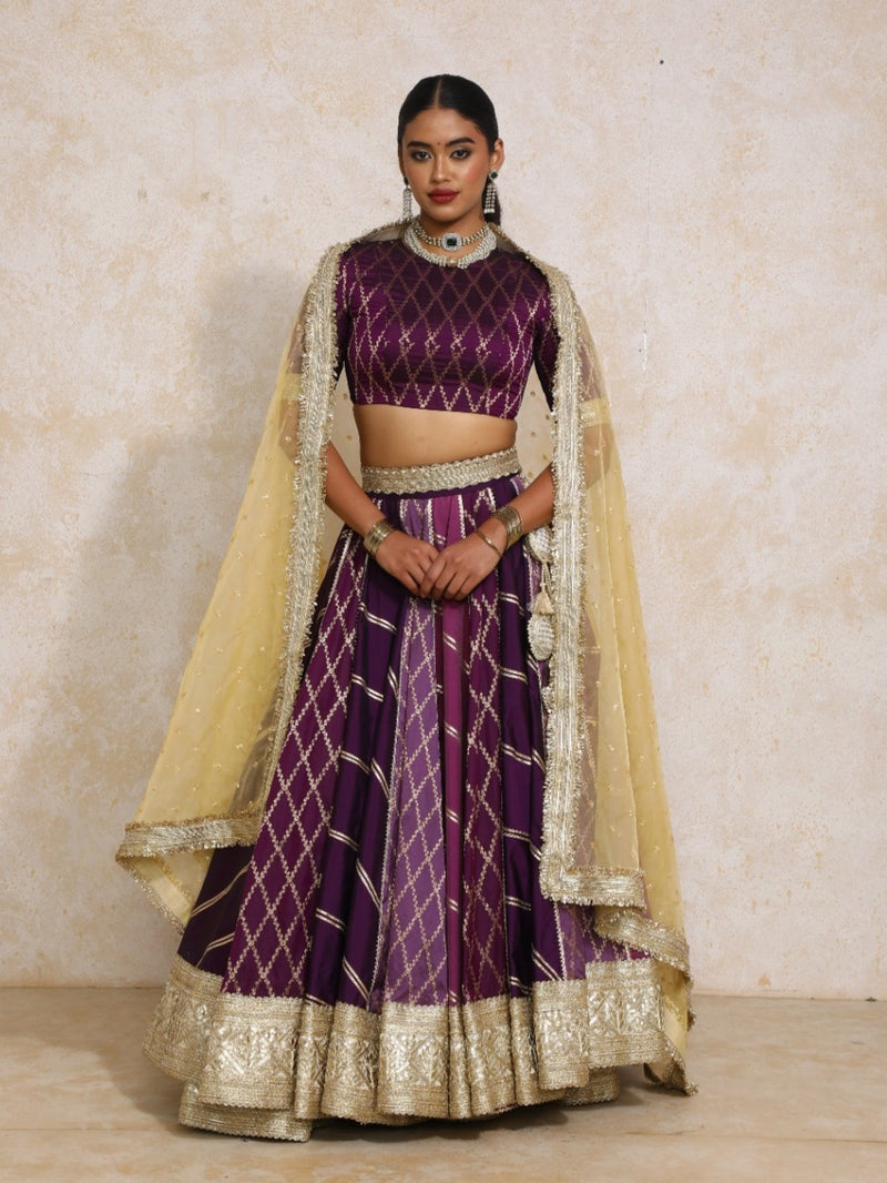 Afsana x Tyohaar | Purple Vine Mesh Brocade FlareFit™ Lehenga Set with Dupatta-Binks