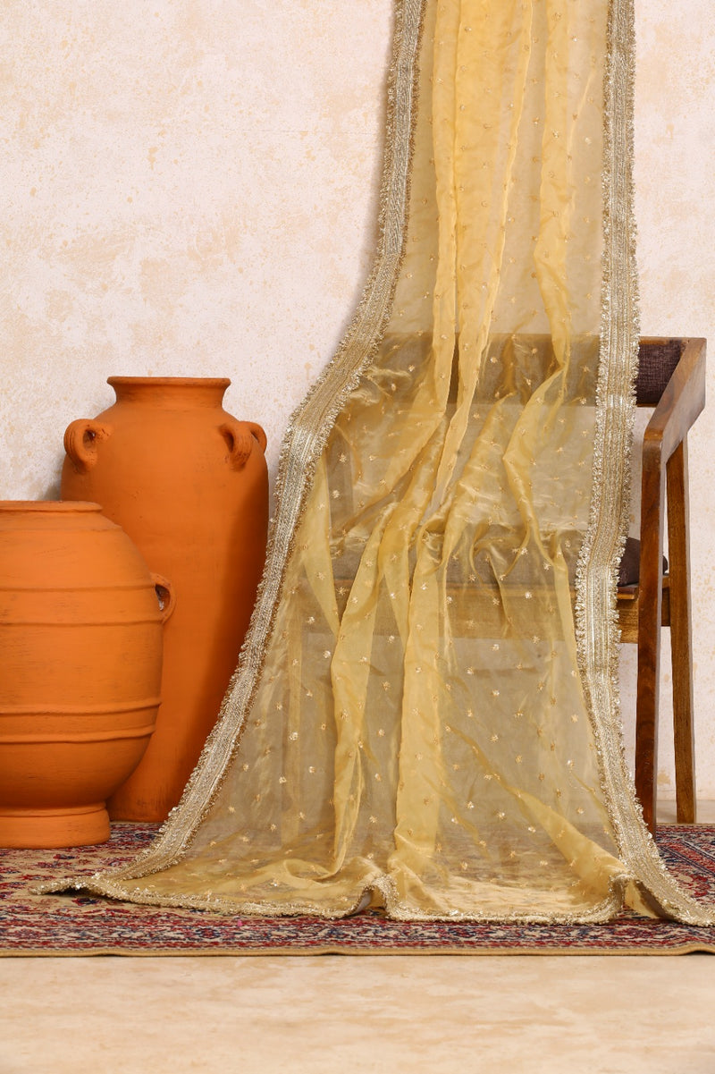 Raahi x Tyohaar | Purple Vine Mesh Brocade FlareFit™ Lehenga Set with Dupatta-Binks