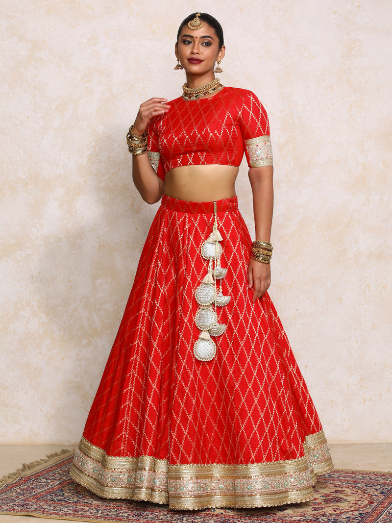Hoor x Tyohaar | Berry Red Vine Mesh Brocade FlareFit™ Lehenga Set-Binks