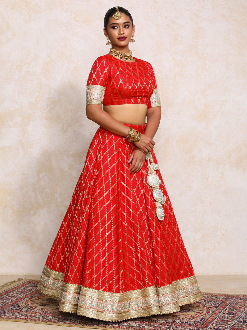 Hoor x Tyohaar | Berry Red Vine Mesh Brocade FlareFit™ Lehenga Set-Binks