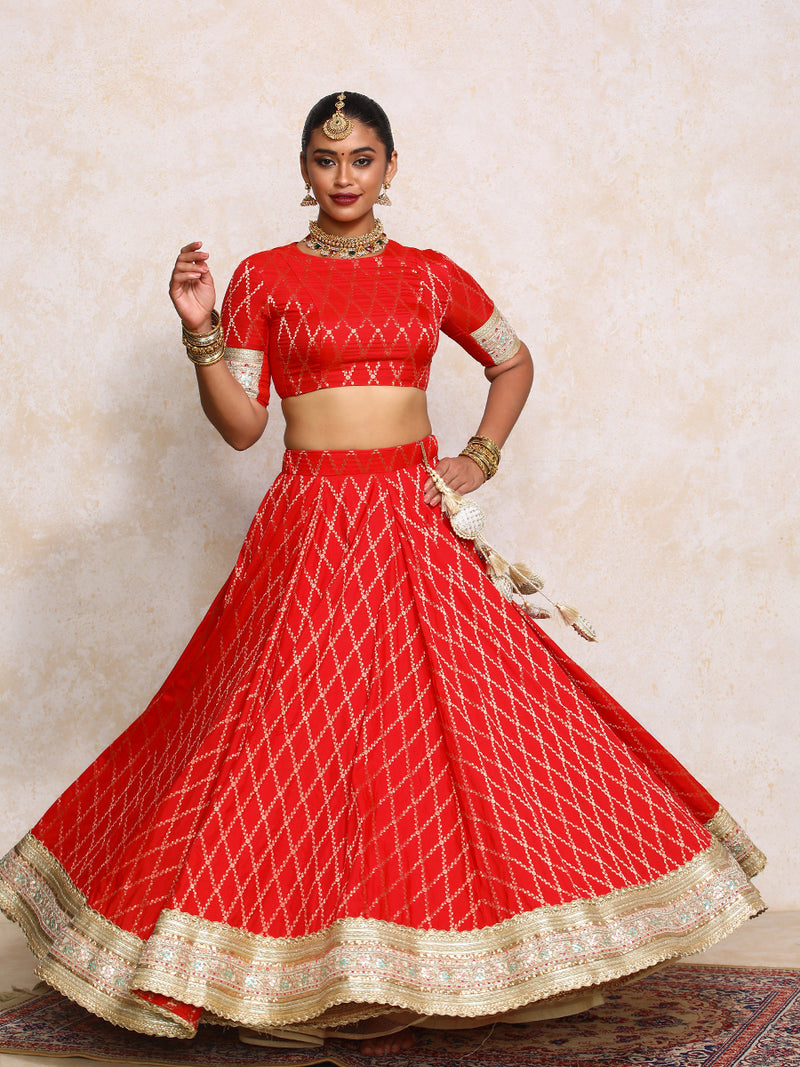 Hoor x Tyohaar | Berry Red Vine Mesh Brocade FlareFit™ Lehenga Set-Binks