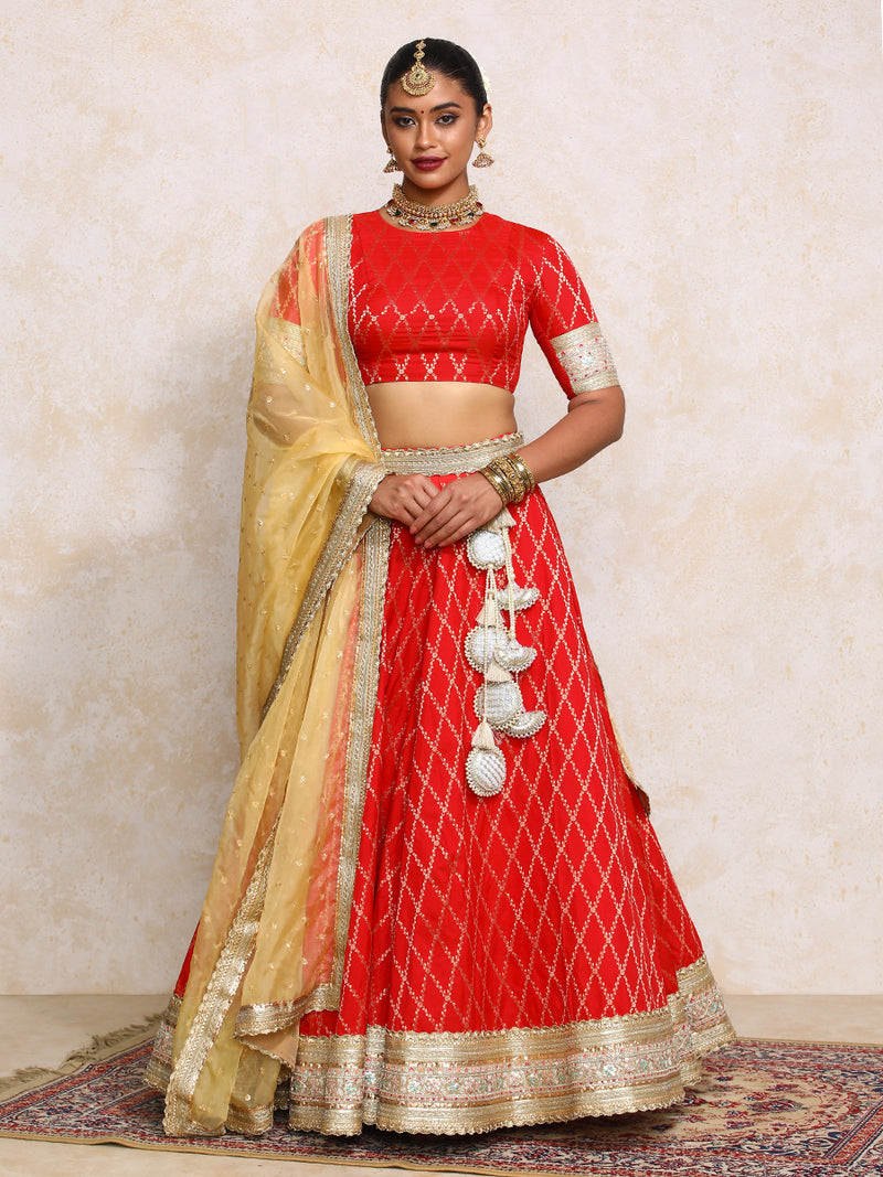 Hoor x Tyohaar | Berry Red Vine Mesh Brocade FlareFit™ Lehenga Set-Binks