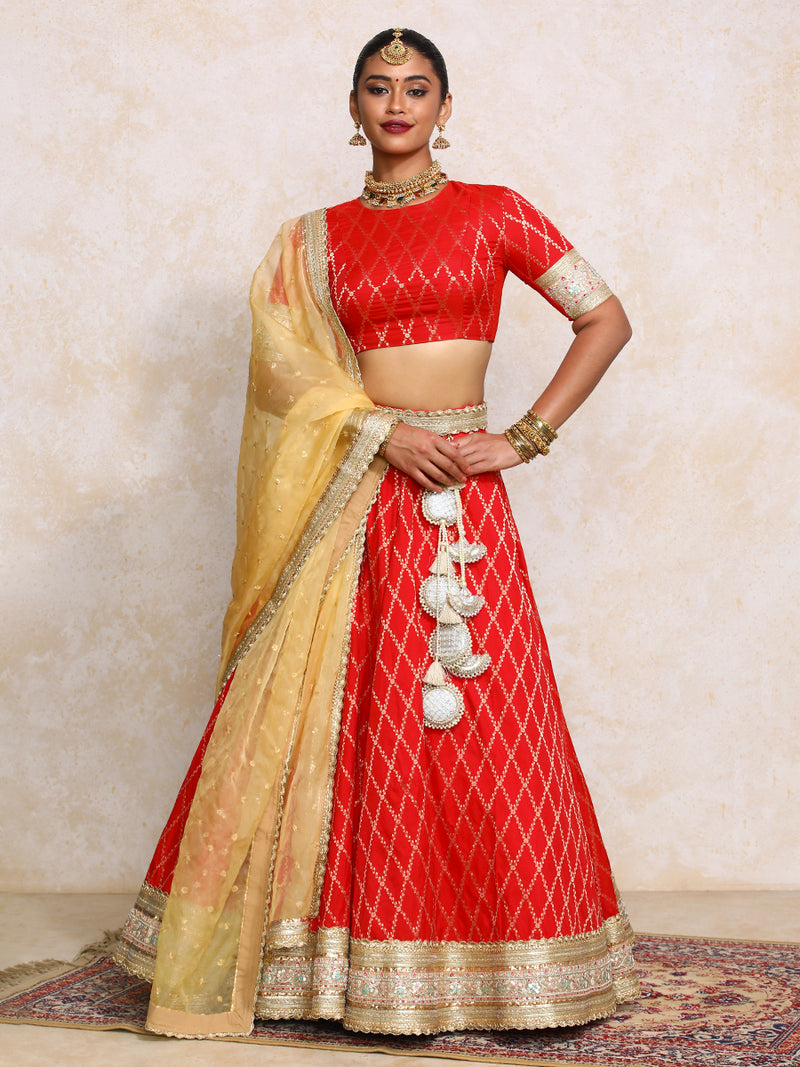 Hoor x Tyohaar | Berry Red Vine Mesh Brocade FlareFit™ Lehenga Set-Binks