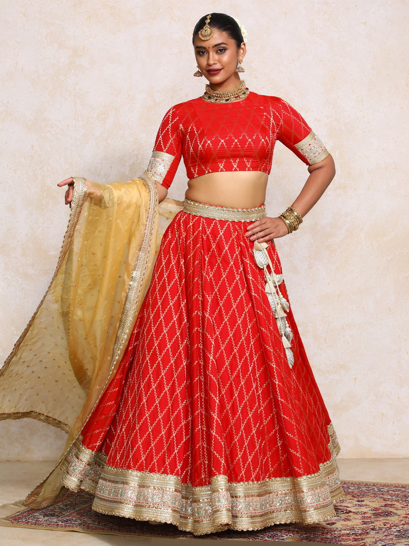 Hoor x Tyohaar | Berry Red Vine Mesh Brocade FlareFit™ Lehenga Set-Binks