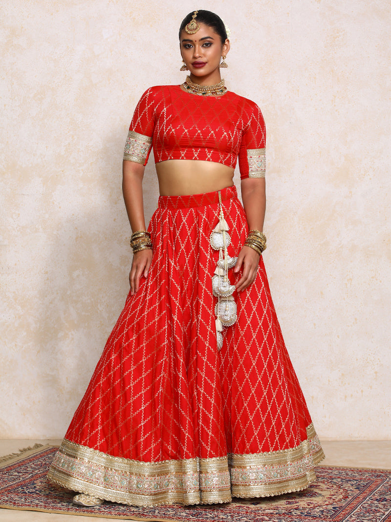 Hoor x Tyohaar | Berry Red Vine Mesh Brocade FlareFit™ Lehenga Set-Binks