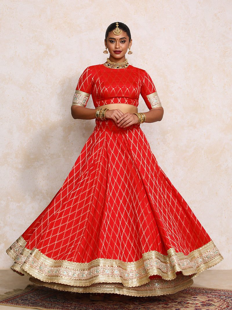 Hoor x Tyohaar | Berry Red Vine Mesh Brocade FlareFit™ Lehenga Set-Binks