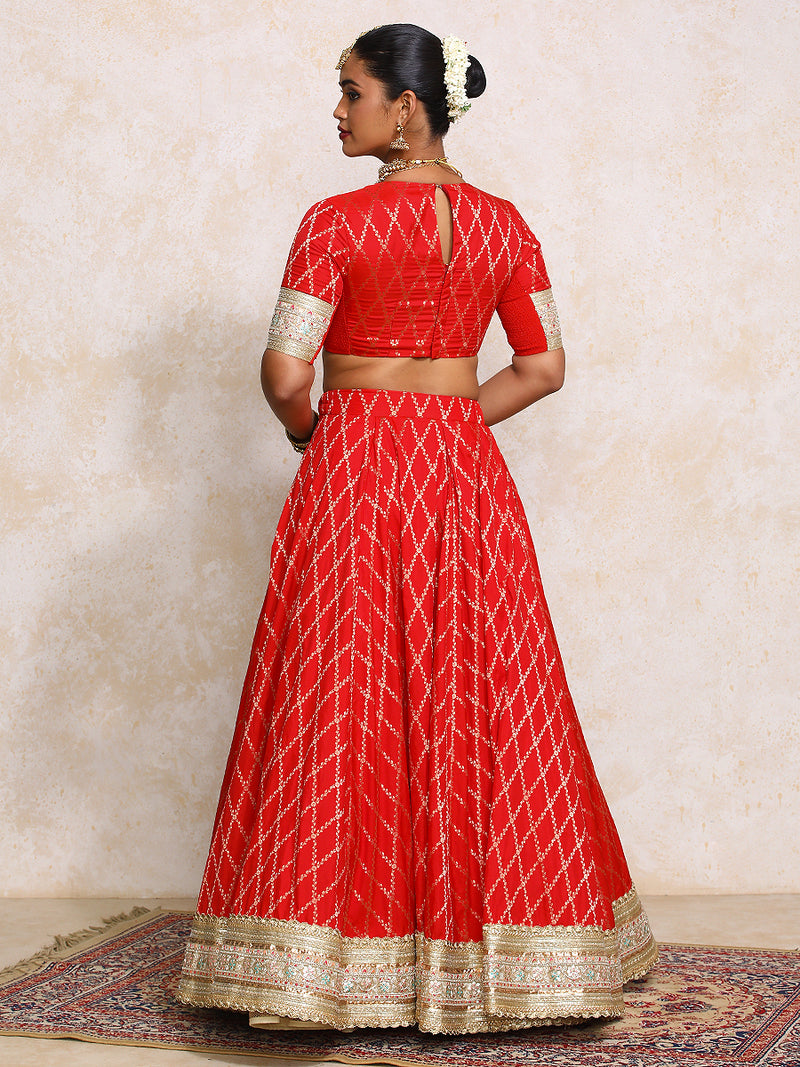 Hoor x Tyohaar | Berry Red Vine Mesh Brocade FlareFit™ Lehenga Set-Binks