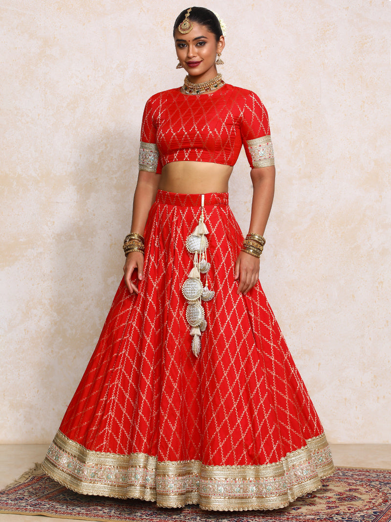 Hoor x Tyohaar | Berry Red Vine Mesh Brocade FlareFit™ Lehenga Set-Binks