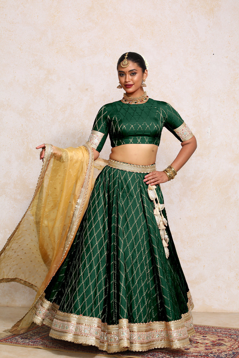 Hoor x Tyohaar | Dark Green Vine Mesh Brocade FlareFit™ Lehenga Set with Dupatta-Binks