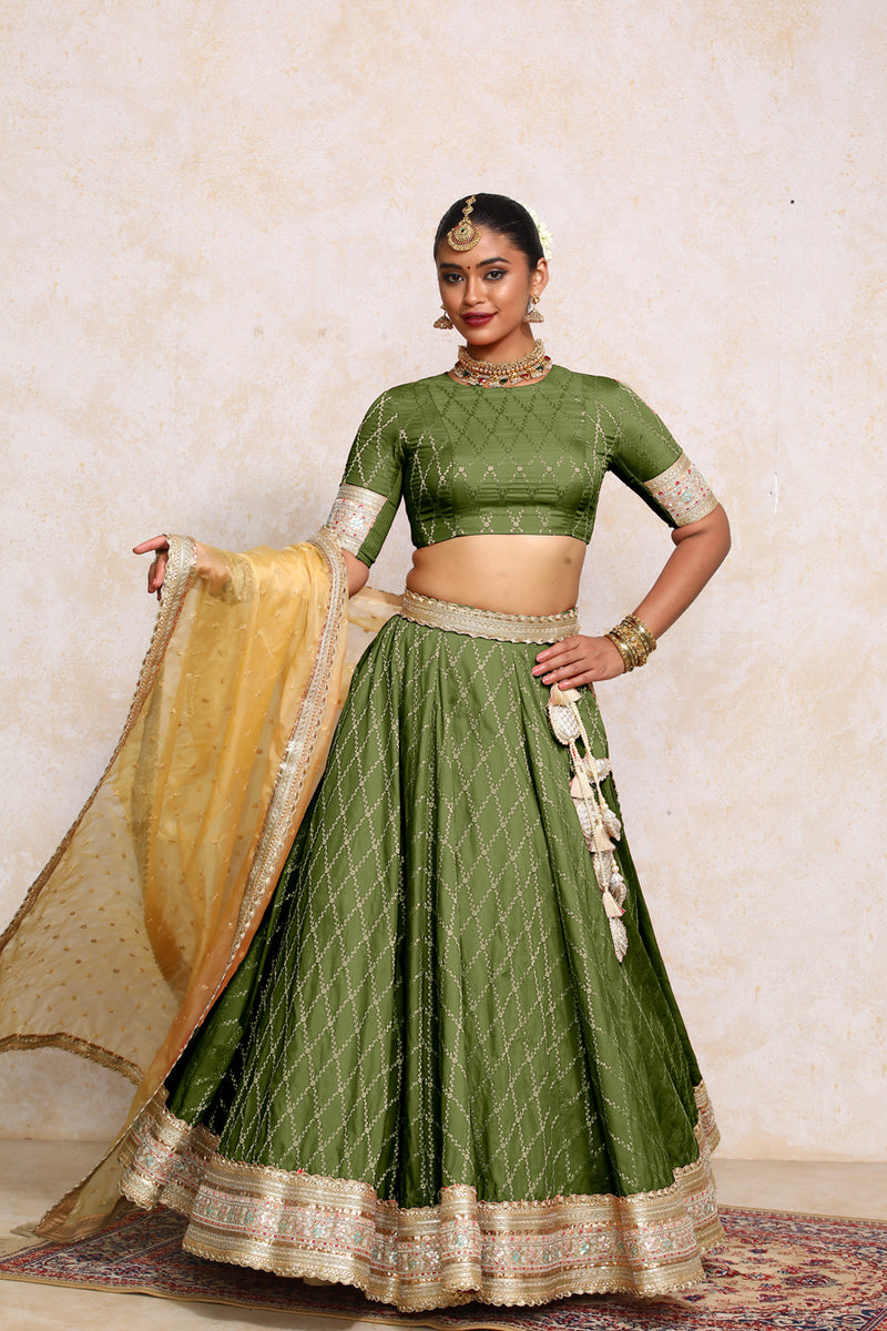 Hoor x Tyohaar | Deep Olive Vine Mesh Brocade FlareFit™ Lehenga Set with Dupatta-Binks