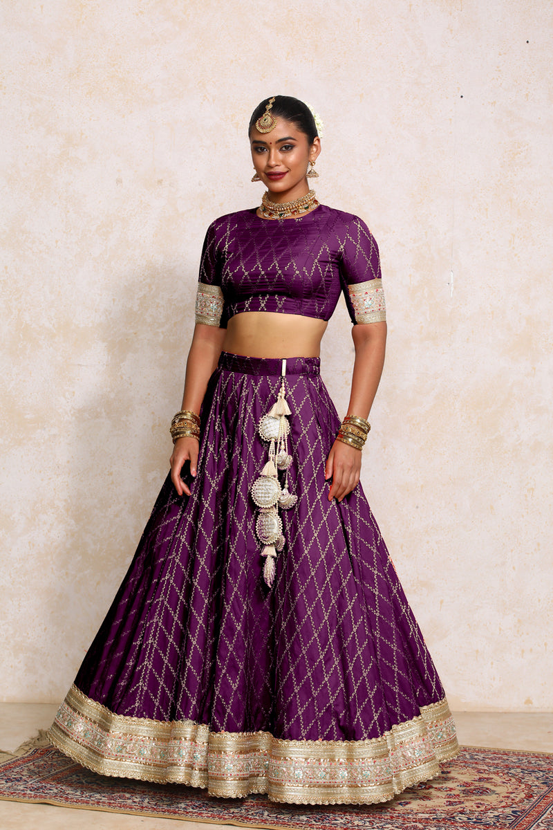 Hoor x Tyohaar | Orchid Plum Vine Mesh Brocade FlareFit™ Lehenga Set with Dupatta-Binks