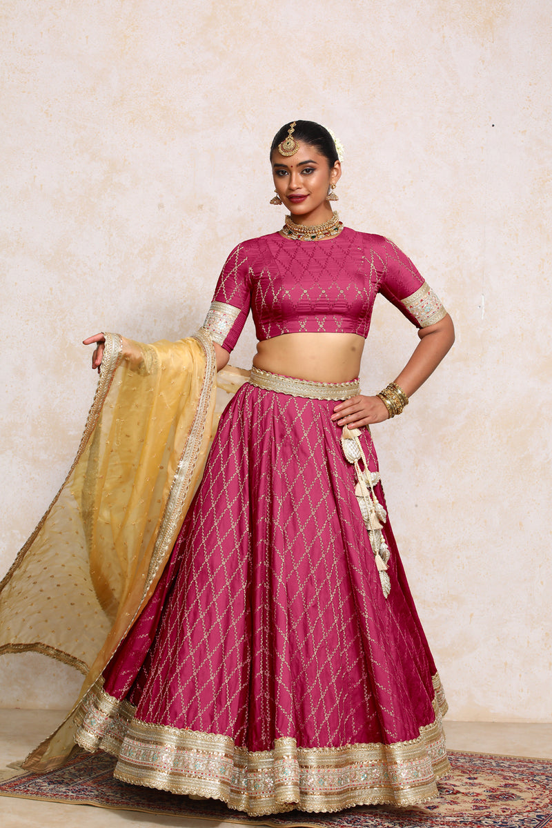 Hoor x Tyohaar | Rosy Pink Vine Mesh Brocade FlareFit™ Lehenga Set with Dupatta-Binks