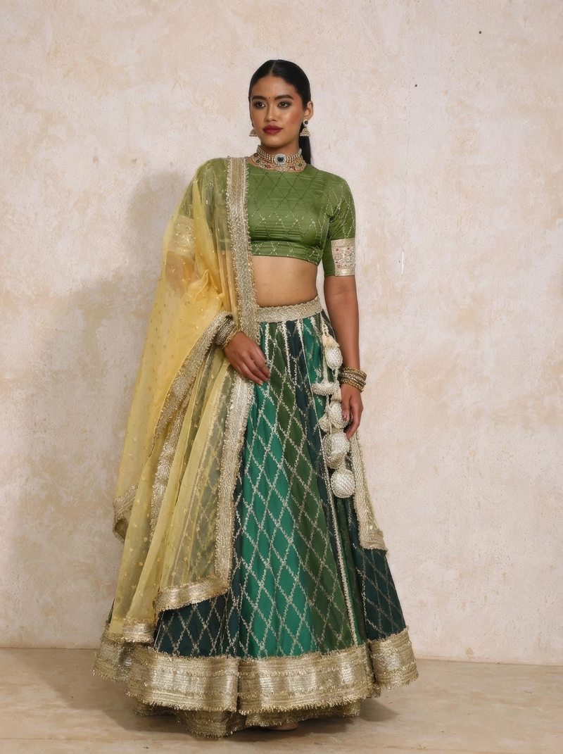 Mabiha x Tyohaar | Green Vine Mesh Brocade FlareFit™ Lehenga Set with Dupatta-Binks