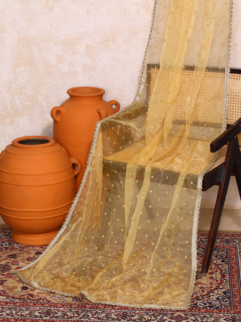 Mahira x Tyohaar | Burgundy Plain Chandheri Lehenga Set with Dupatta-Binks