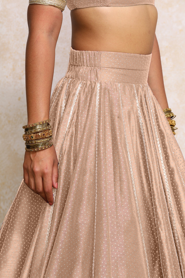 Mehreen x Tyohaar Lehenga Set, in Copper Chandheri, featuring elbow sleeves and v-neckline, made for party & festive (view 3).