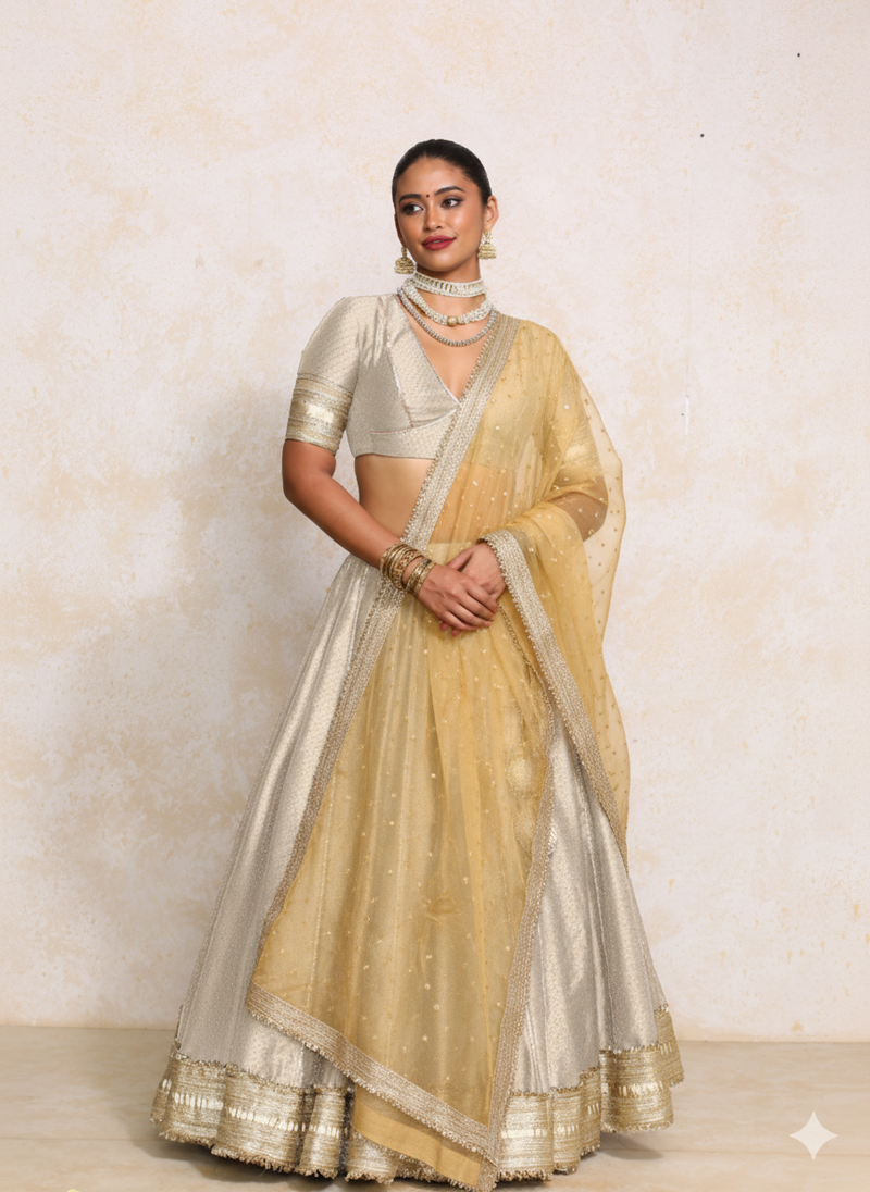 Mehreen x Tyohaar | Oyster Grey Foil Chandheri FlareFit™ Lehenga Set with Dupatta-Binks