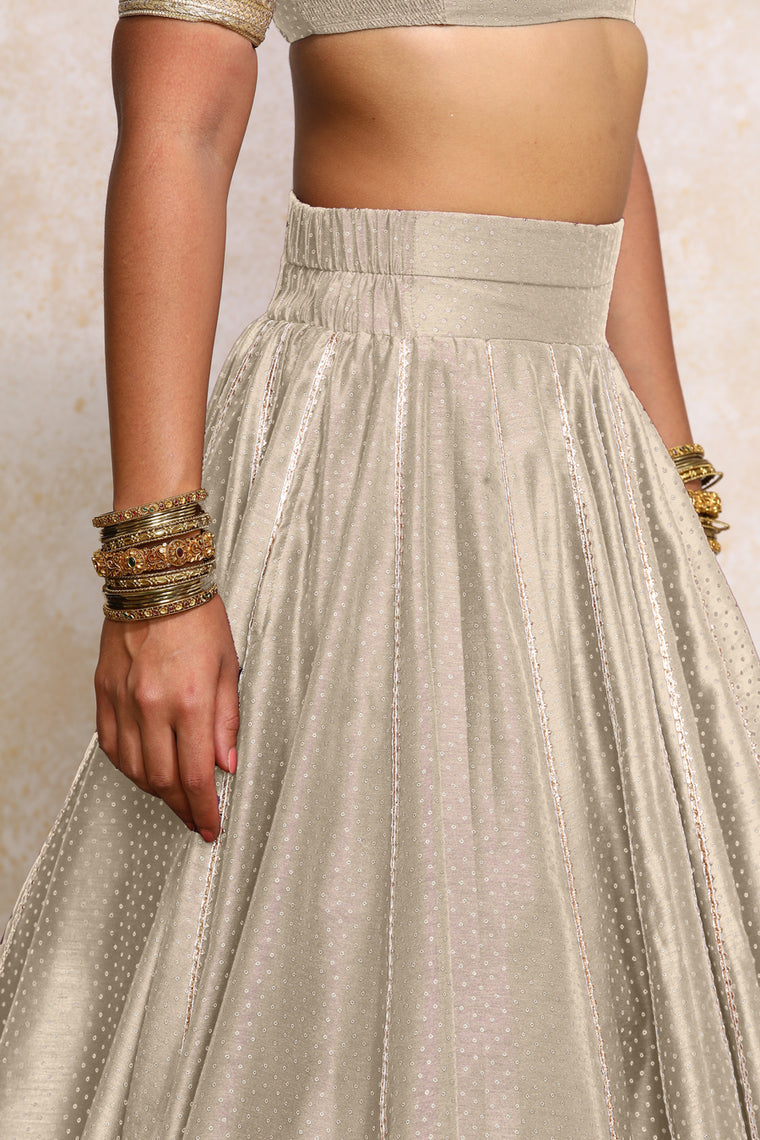 Mehreen x Tyohaar Lehenga Set, in Grey Chandheri, featuring elbow sleeves and v-neckline, made for party & festive (view 3).